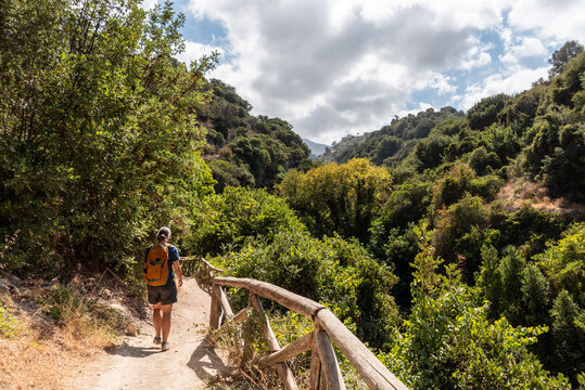 Young Female Hiker Trekking Through Dense Green Forest Path in Myli Gorge, Crete