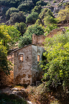 Ancient Village Ruins Surrounded by Dense Trees and Wilderness in Myli Gorge