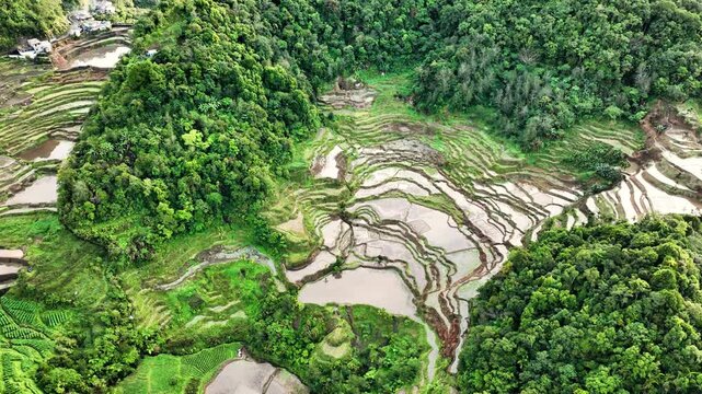 Aerial shot of the amazing terraced rice paddies in the mountains near Banaue Philippines.
