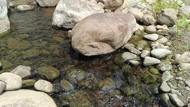 Shallow river water trickling gently around smooth rocks and boulders during the dry season. Natural freshwater stream for ecology, nature, conservation, travel, and relaxation concepts