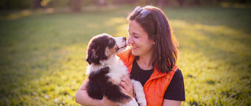 Puppy kissing smiling woman wearing trainer orange vest in sunlit green park, Border Collie dog licking woman's face