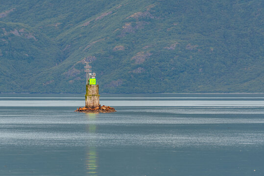Seals basking on ocean buoy in Prince William Sound, Alaska with mountains in background