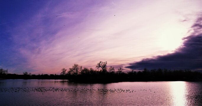Island with trees on the purple sunset