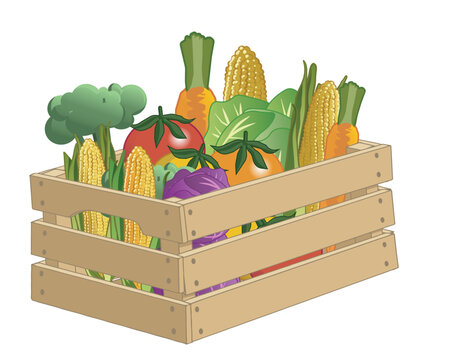 Brown slat-wood crate with vegetables such as broccoli, sweet corn, tomatoes, carrots, and green and red cabbage. Isolated on a transparent background.