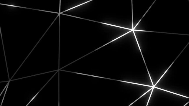 Glowing white lines forming a geometric triangle mesh pattern animation on a solid black background with connecting form