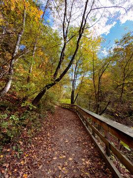 Un sentier dans la for&ecirc;t en automne, Qu&eacute;bec, Canada	
