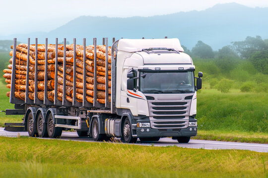 Transport truck full of harvested timber