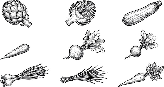 Vintage engraved farm vegetables sketch vector set with artichoke zucchini beetroot radish carrot and green onions