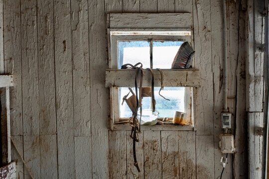 Leather horse bridle hanging on rustic barn window on wooden wall