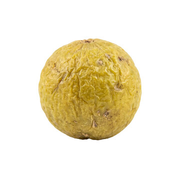 Bael fruit macro shoot showing textured green wooden shell and round organic shape isolated on transparent background