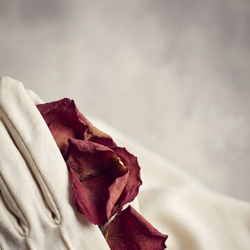 Vintage white glove holding dried rose petals, classic elegance, romantic texture