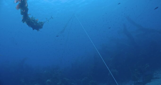 Pan down from surface to empty lobster cage.