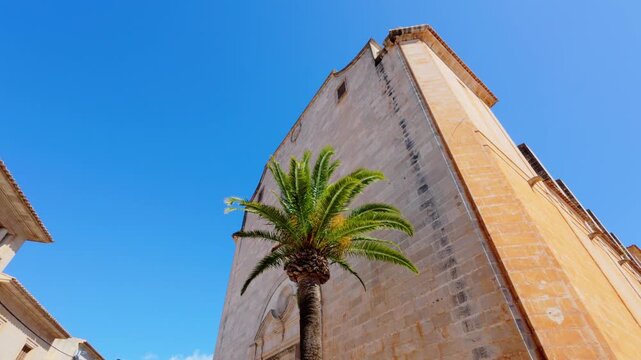 Low angle static view of the sandstone facade of the parish church of Santanyi with a palm tree against a clear blue sky, Santanyi, Mallorca, Balearic Islands, Spain