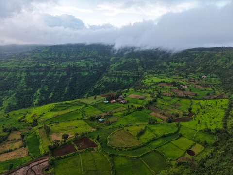 rice terraces in bali indonesia