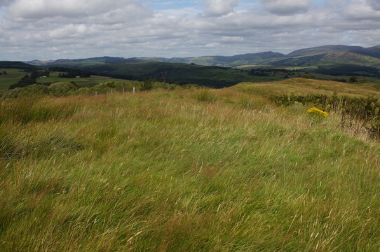View across windswept grass from Beattock hill fort towards the Moffat hills and forestry, Dumfries and Galloway, Scotland, UK