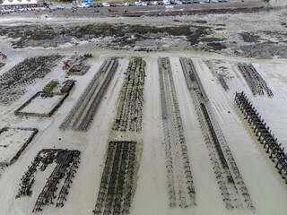Aerial drone view of underwater oyster farms in Cancale, Brittany, exposed during low tide, raditional sustainable aquaculture and production of premium French oysters, France © barmalini