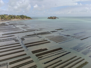 Aerial drone view of underwater oyster farms in Cancale, Brittany, exposed during low tide, raditional sustainable aquaculture and production of premium French oysters, France © barmalini