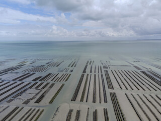 Aerial drone view of underwater oyster farms in Cancale, Brittany, exposed during low tide, raditional sustainable aquaculture and production of premium French oysters, France © barmalini
