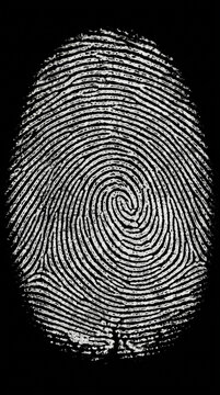 Unique Fingerprint Identification Symbol Identity Concept Privacy Security and Personal Data Background