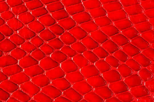 Close-up view of vibrant red textured leather with an embossed snakeskin scale pattern
