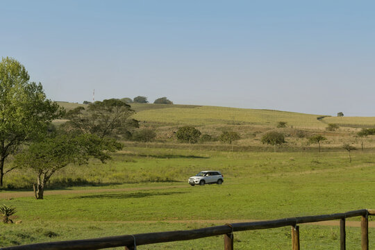 white vehicle explores the expansive green hills and savannah terrain of a game park reserve in south africa under a clear sky