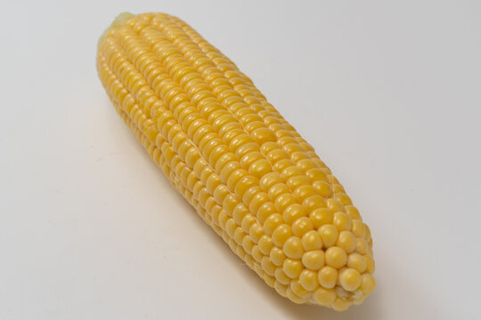 Single ear of husked sweet corn seen close on a white surface