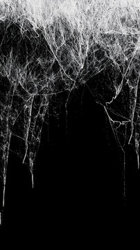 Creepy hanging spider web or cobweb on black, top border. Spooky Halloween or gothic background.