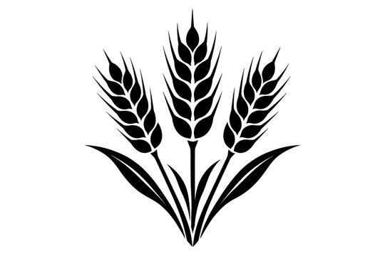 Wheat or rye ear silhouette icon
