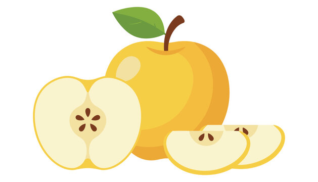 Yellow apple vector illustration set showing whole fruit with leaf half cut view showing seeds and fresh delicious slices