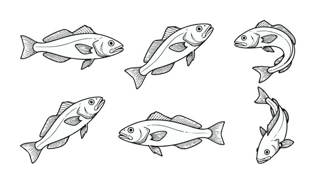 Golden Tilefish Line Art Vector Set for Commercial Deep Sea Fishing and Ocean Fauna Icons

