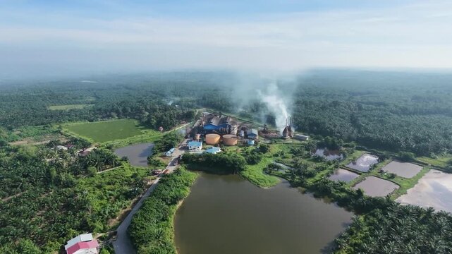Aerial view of a palm oil processing mill with smoking chimneys, surrounded by vast green palm plantations and wastewater treatment ponds. Industrial agriculture concept.