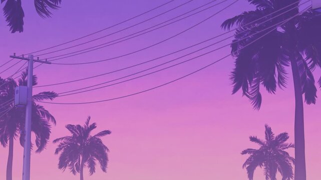 Miami video game Inspired Palm Tree and Power Line with neon pink purple Sky | 3D loop animation