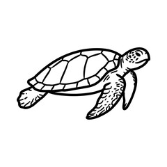 Fototapeta premium Hand drawn illustration of a swimming sea turtle isolated on white.