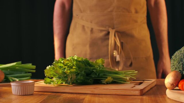 Cilantro parsley close up cut cutting coriander greens with knife aromatic texture macro traditional Asian and Mexican cuisine herb studio shot 