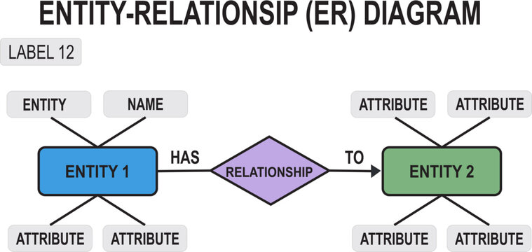 Entity Relationship ER Diagram Template with Database Connections &mdash; For Data Modeling