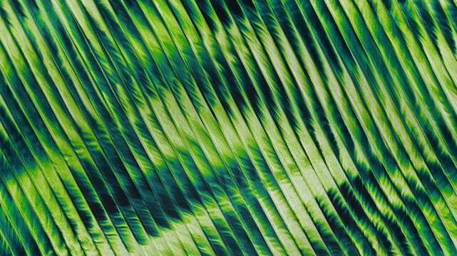 Green Flowing Fur Texture Pattern With Wavy Stripes Abstract Video