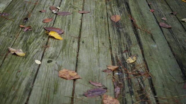 Dilpidated Deck Series - Camera Pans Across old Deck Boards.