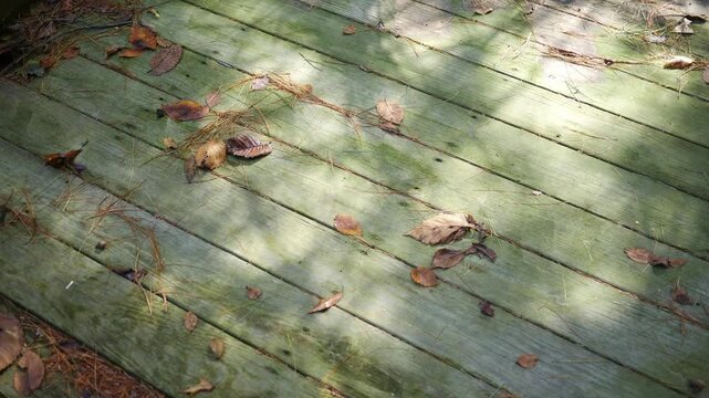 Dilapidated Deck Series - Panning Across Old Deck Boards