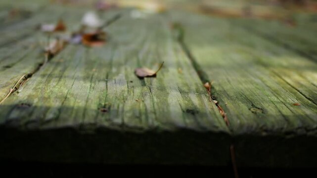 Dilapidated Deck Series - Old Rotting Deck Boards