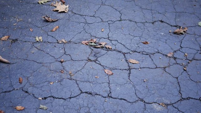 Old Asphalt Driveway - Cracks in Blacktop Driveay 4