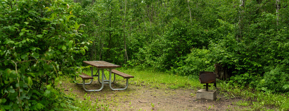 Camping tenting site with a picnic table and fire pit surrounded by green trees
