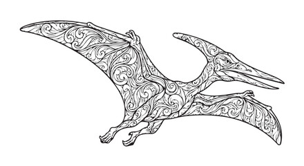 Black and white flying pterodactyl vector illustration with intricate zentangle and paisley patterns © md