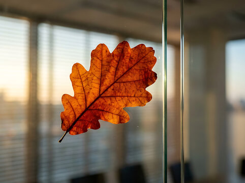 Vibrant autumn oak leaf clings to clear office glass, reflecting the warm glow of a city sunrise or sunset, symbolizing nature's persistence in modern urban spaces