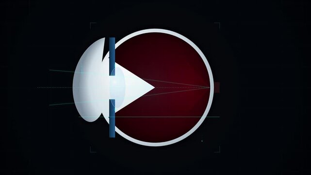 A technical diagram represents how the human eye focuses incoming light rays onto the retina to form an accurate visual perception of the surrounding world for medical professionals