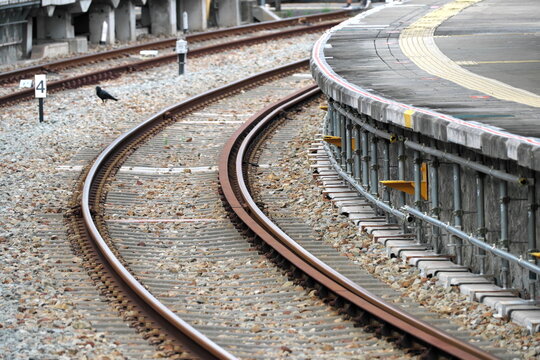 Curved railway tracks leading to train platform with crow