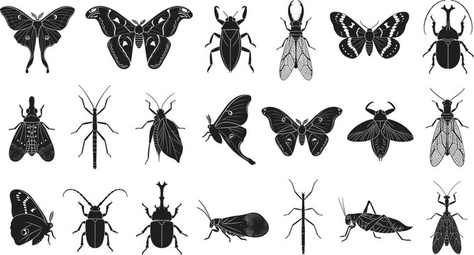 Diverse insects and butterflies silhouettes vector collection featuring beetle moth mantis grasshopper and stick insect icons set