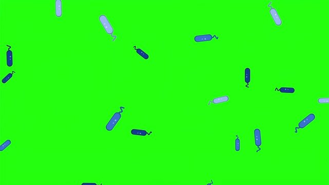 Green screen animation of a moving collection of blue and purple bacteria