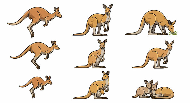 Cute kangaroo mother and joey isolated on white background vector illustration