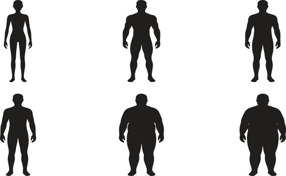 Human body shapes vector silhouette set featuring diverse male and female figures from slim to muscular and overweight types