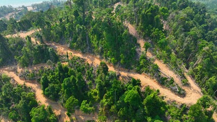High-angle drone shot of forest clearing with scattered trees and access roads, illustrating deforestation, land exploitation, and the growing environmental challenges affecting biodiversity. 4k.  © Punyawee